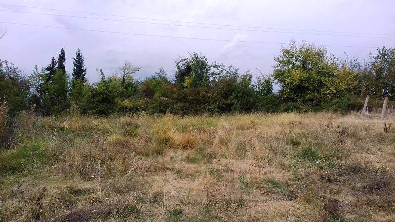 Продажа участка в поселке Дербере, Сандански